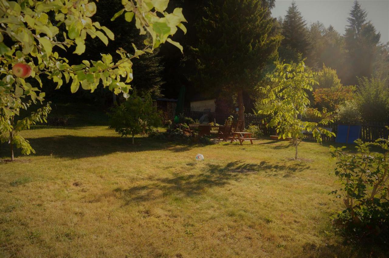 Deine Ferienwohnung Falkenstein  المظهر الخارجي الصورة